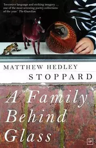 A Family Behind Glass cover