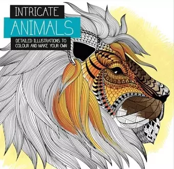 Intricate Colouring cover