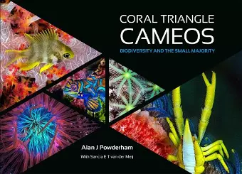 Coral Triangle Cameos cover