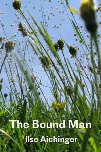 The Bound Man, and Other Stories cover