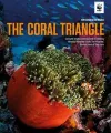 Coral Triangle cover
