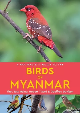 A Naturalist's Guide to the Birds of Myanmar cover