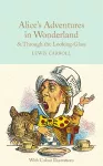 Alice's Adventures in Wonderland and Through the Looking-Glass cover