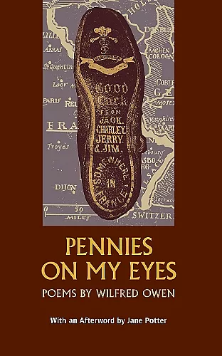 Pennies on my eyes cover