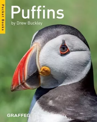 Puffins (Pocket Books) cover