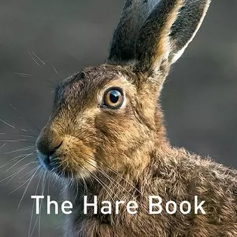 Nature Book Series, The: The Hare Book cover