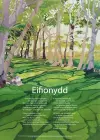 Eifionydd cover