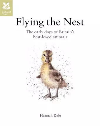 Flying the Nest cover