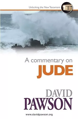 A Commentary on Jude cover