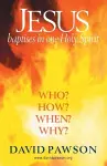 Jesus Baptises in one Holy Spirit cover
