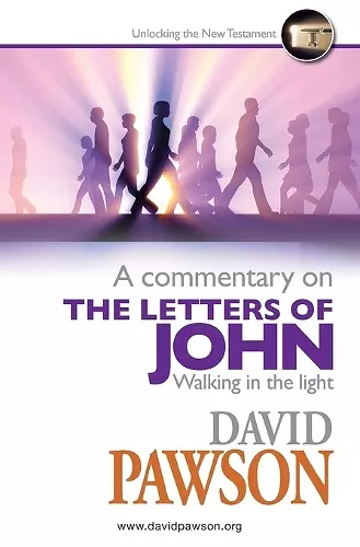 A Commentary on the Letters of John cover