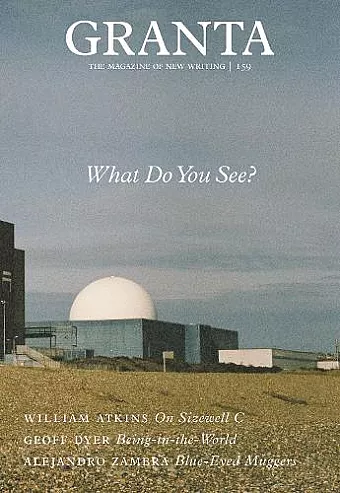 Granta 159: What Do You See? cover