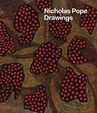 Nicholas Pope: Drawings cover