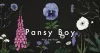 Pansy Boy cover