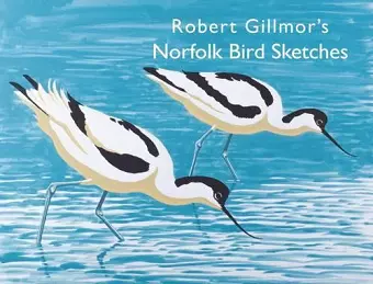 Robert Gillmor's Norfolk Bird Sketches cover