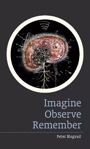 Imagine, Observe, Remember cover