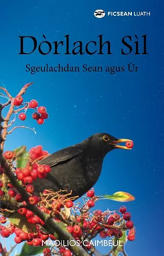 Dòrlach Sìl cover