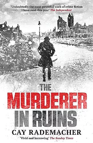The Murderer in Ruins cover