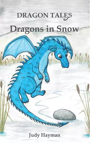 Dragons in Snow cover