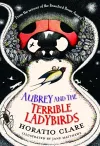 Aubrey and the Terrible Ladybirds cover