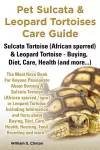 Pet Sulcata & Leopard Tortoises Care Guide Sulcata Tortoise (African Spurred) & Leopard Tortoise - Buying, Diet, Care, Health (and More...) cover