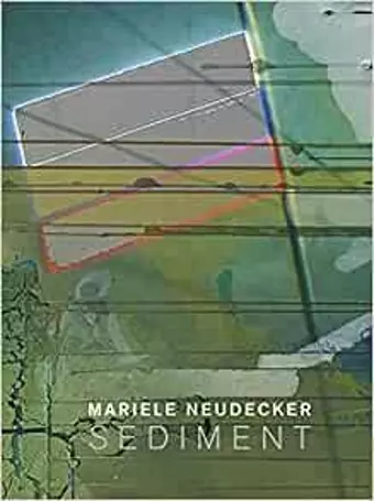 Mariele Neudecker - Sediment cover