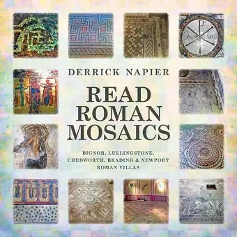 Read Roman Mosaics cover