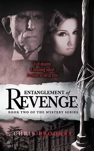 Entanglement Of Revenge cover