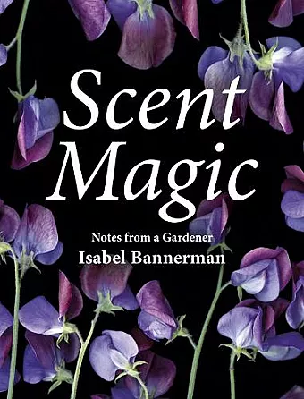 Scent Magic cover