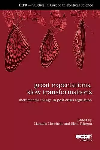 Great Expectations, Slow Transformations cover