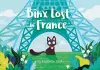 Binx Lost in France cover