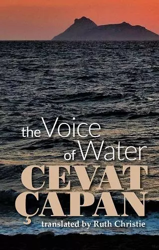 The Voice of Water cover