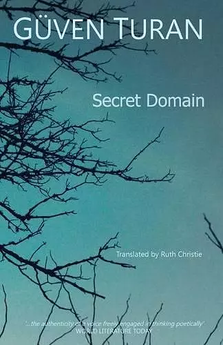 Secret Domain cover