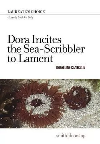 Dora Incites Sea-Scribbler Lament cover