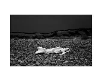 The Curious Moaning of Kenfig Burrows cover