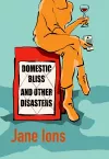 Domestic Bliss and Other Disasters cover