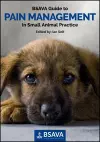 BSAVA Guide to Pain Management in Small Animal Practice cover