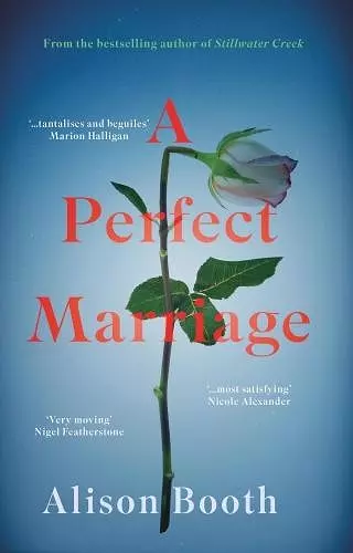 Perfect Marriage cover