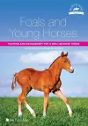 Foals and Young Horses: Training and Management for a Well-behaved Horse cover