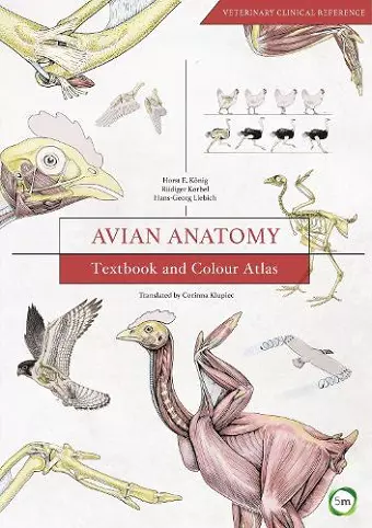 Avian Anatomy 2nd Edition: Textbook and Colour Atlas cover