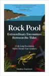 Rock Pool: Extraordinary Encounters Between the Tides cover