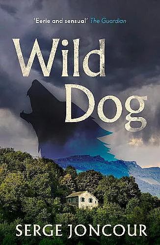 Wild Dog: Sinister and savage psychological thriller cover