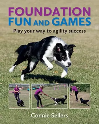 Foundation Fun And Games cover