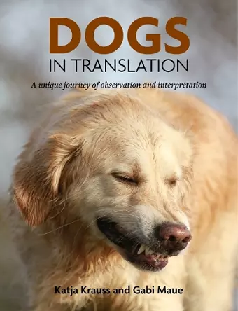 Dogs In Translation cover