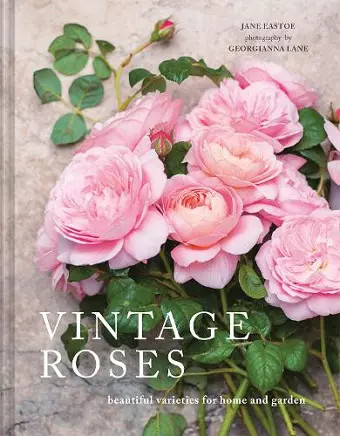 Vintage Roses cover