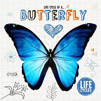 Butterfly cover