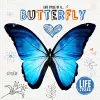 Butterfly cover