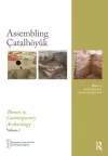 Assembling Çatalhöyük cover