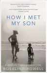 How I Met My Son cover