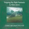 Tripping the Flash Fantastic cover